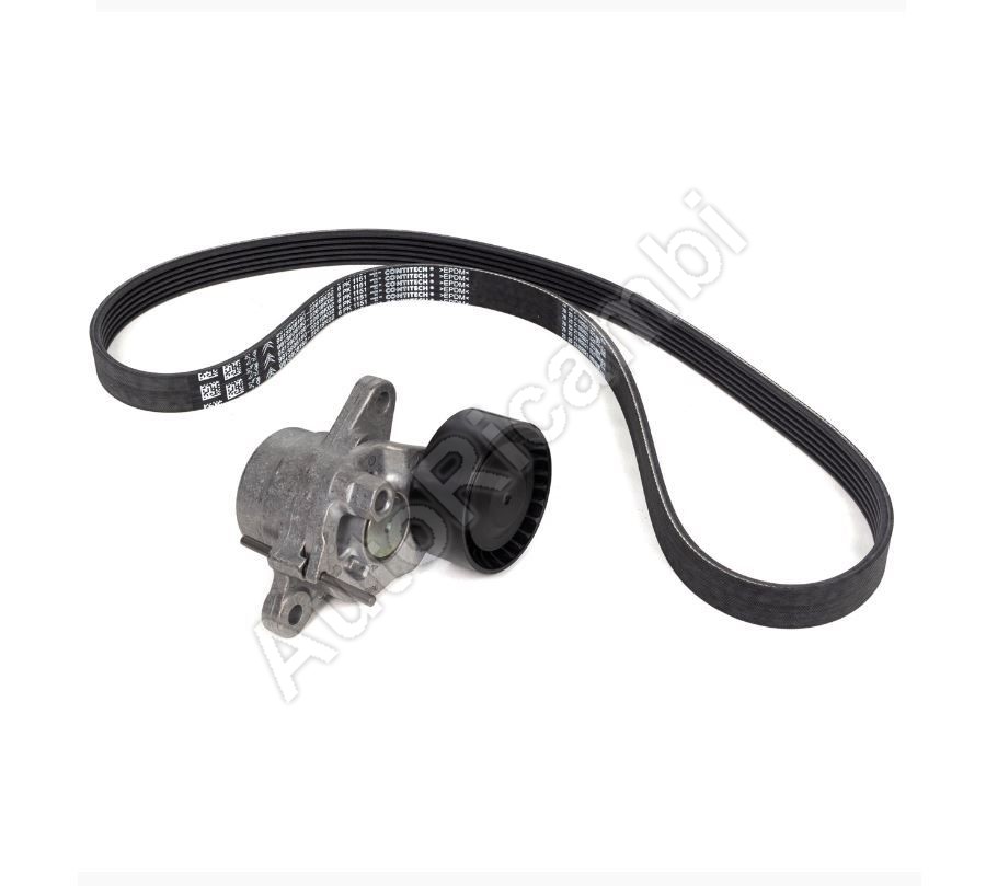 INA 529037910-ALTERNATOR GERGI RULMANI KOMPLE+V KAYISI 1.5 HDI P208 12 > 1631627680//-1618